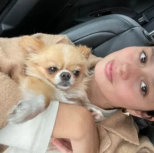 Patrícia Guimarães